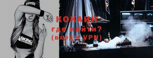 дживик Дмитриев