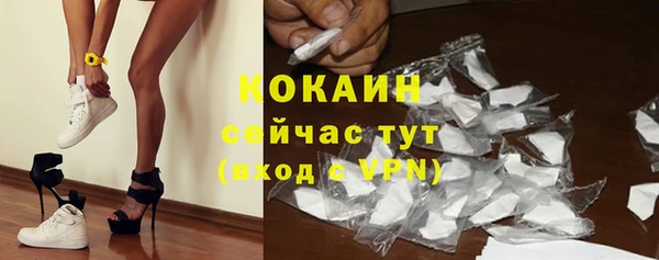 СК Дмитровск