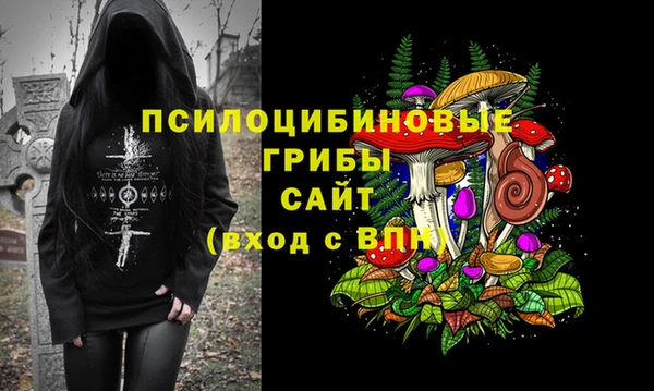 стаф Елизово