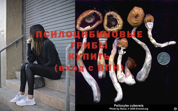 каннабис Дмитров