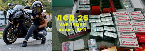 дживик Дмитриев