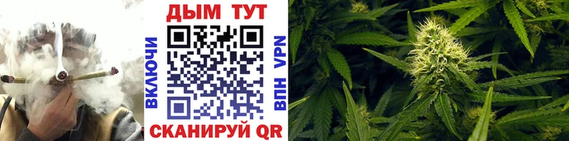 Канабис OG Kush  Жирновск 